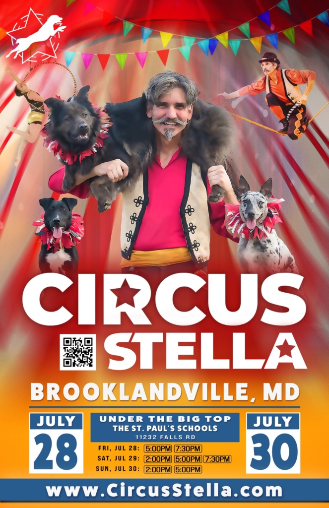 Circus Poster Designs